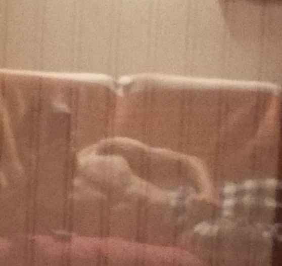 Zakarie - Apt - Vaucluse | Rencontre gay